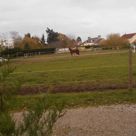 בית כפרי Apaisant Avec Spa, Jardin Et Etang, Animaux Acceptes Pour 6 Personnes - Fr-1-489-612