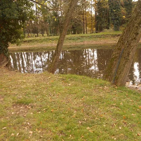 בית כפרי Apaisant Avec Spa, Jardin Et Etang, Animaux Acceptes Pour 6 Personnes - Fr-1-489-612