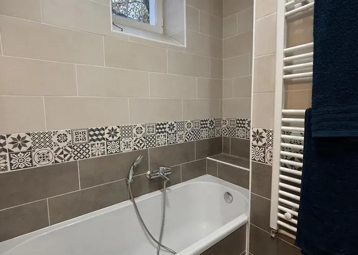 Apaisant Avec Spa, Jardin Et Etang, Animaux Acceptes Pour 6 Personnes - Fr-1-489-612 بيت للعطل