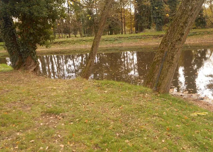 بيت للعطل Apaisant Avec Spa, Jardin Et Etang, Animaux Acceptes Pour 6 Personnes - Fr-1-489-612