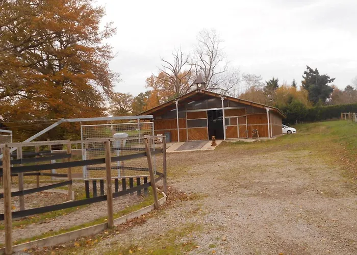 Apaisant Avec Spa, Jardin Et Etang, Animaux Acceptes Pour 6 Personnes - Fr-1-489-612 * Bézenet